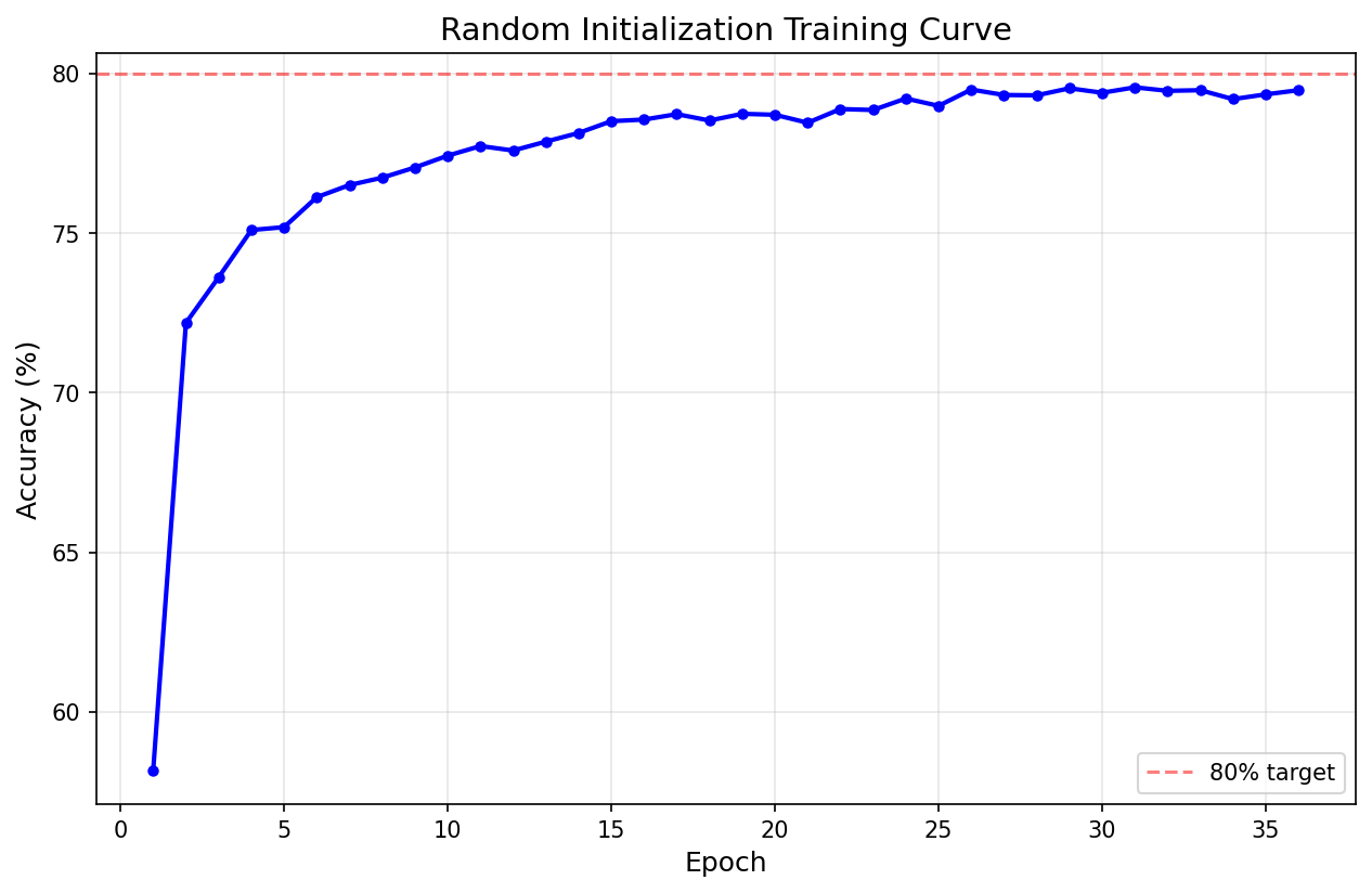 random_init_training_curve.png